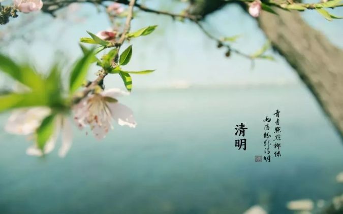 清明 || 雨紛紛，思故人