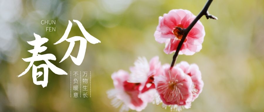 春分時節(jié)萬物生長，這份養(yǎng)生寶典一定要收藏！