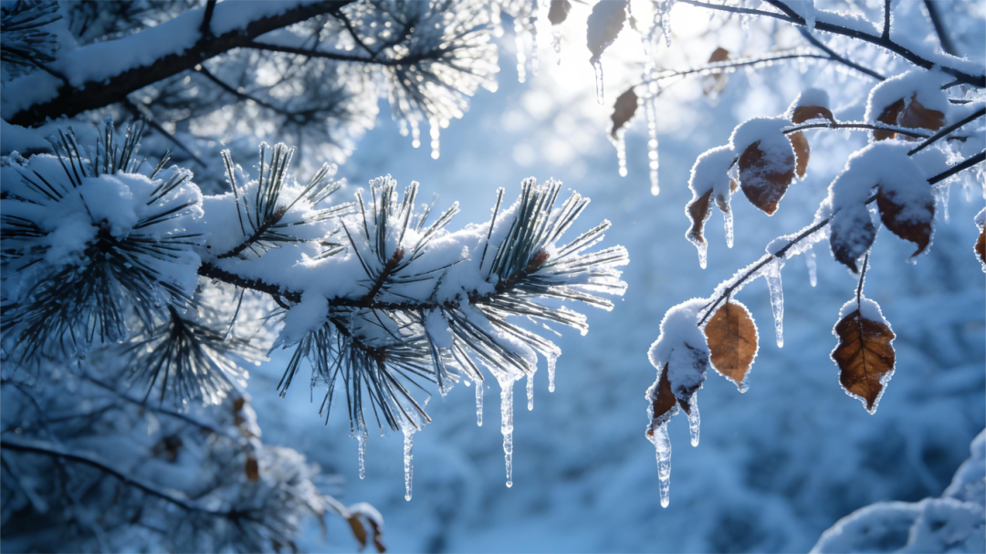 大雪至，年味漸濃，南北特食品香暖寒冬